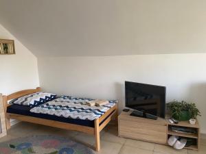 a bedroom with a bed and a flat screen tv at Ilkićev kućerak Studio in Vrdnik