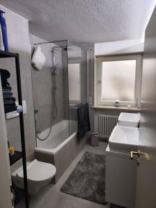 ein Bad mit einer Dusche, einem WC und einem Waschbecken in der Unterkunft Ferienwohnung Kempten (Allgäu) in Breiten