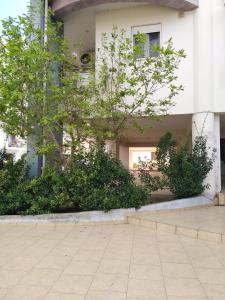 Zahrada ubytování hommie apartment