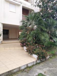 a house with a palm tree and a sidewalk at hommie apartment in Amaliás