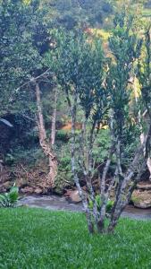 Foto da galeria de Espaço Beira Rio em Nova Friburgo mais 22 fotos