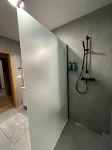 uma casa de banho com um chuveiro e uma porta de vidro em Apartmán Thermal Park 