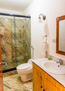 庫斯科的住宿－Altar Inca Hotel Mirador，带淋浴、卫生间和盥洗盆的浴室