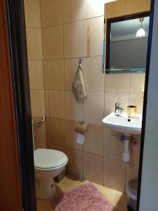 a bathroom with a toilet and a sink at Magnolia Gospodarstwo Agroturystyczne in Kazimierz Dolny