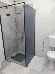 a shower stall in a bathroom with a toilet at Apartment Marija in Jezera