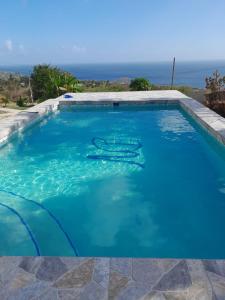 a swimming pool with two dolphins in the water at Desired View in Choiseul