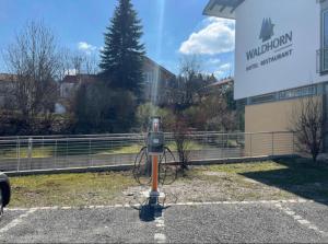 Jízda na kole v ubytování Hotel Waldhorn nebo okolí