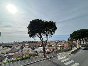 a tree sitting on the side of a road at Il nido d'amore in Paola