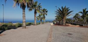 a sidewalk with palm trees and the ocean in the background at Cheyma Home 3º: Amplio apartamento en Alcalá in Alcalá