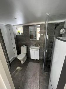 Vonios kambarys apgyvendinimo įstaigoje Fully equipped beautiful cottage