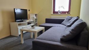 ein Wohnzimmer mit einem Sofa und einem TV in der Unterkunft Apartma Tanja in Kamnik