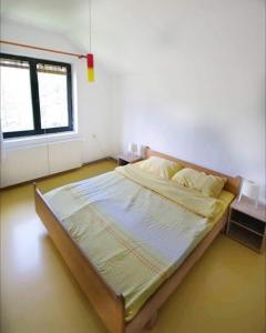 a large bed in a room with two windows at Apartman Borići in Soko Banja