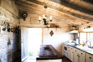 a kitchen with wooden walls and a sink and a stove at Historic 1850's Cosmic Cabin 