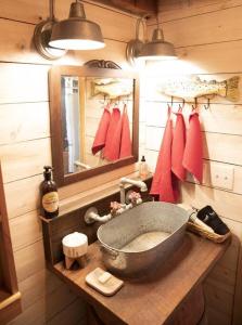 a bathroom with a sink and a mirror at Historic 1850's Cosmic Cabin 