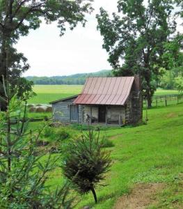 a small house with a red roof in a field at Historic 1850's Cosmic Cabin 