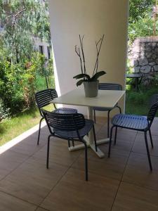een tafel en stoelen met een potplant op een patio bij Splendide studio, 10' a pied de Monaco + parking in Beausoleil
