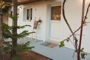 Zahrada ubytování Myrtus Guest House