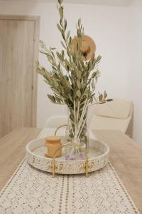 Fotografie z fotogalerie ubytování Myrtus Guest House v destinaci Myrties