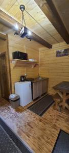 een keuken met een koelkast en een tafel in een kamer bij Під озером Синевир in Synevyrsʼka Polyana