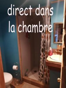 a bathroom with a shower curtain and a sink at L'Oasis du Pirate in Quebec City +10 photos