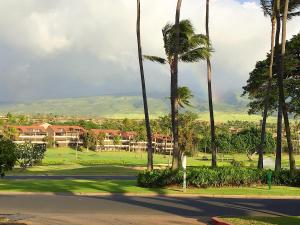 a group of palm trees on a street with a golf course at Kaanapali Royal J303 in Lahaina
