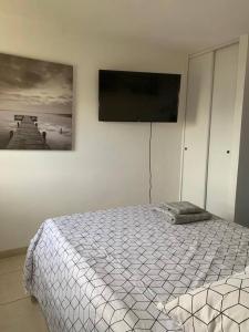 a bedroom with a bed and a flat screen tv at Chez Tonton David 972 in Fort-de-France