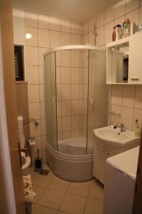 Koupelna v ubytování Apartment Drazan