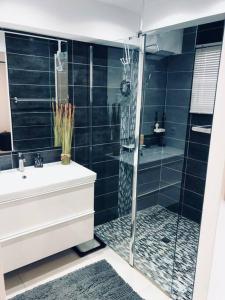 a bathroom with a glass shower with a sink and a toilet at DREAM ON THE BEACH in Baie Nettle