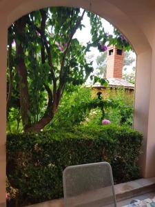 Zahrada ubytování Apartman Nikolić 1