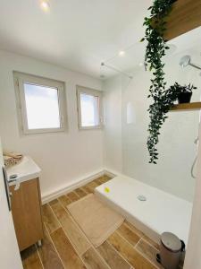 a white bathroom with a bench and a plant at Les Deux Anges in Rouen