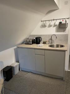 イブシャムにあるLittle Moat - Moat Farm Barns a small modern studio in the garden on our family farmの小さなキッチン(シンク、カウンタートップ付)