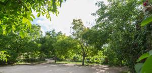Casas Rurales Los Enebros Nerpio外面的花园