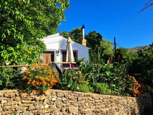 Casas Rurales Los Enebros Nerpio外面的花园