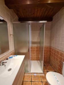 a bathroom with a shower and a sink and a toilet at Casas Rurales Los Enebros Nerpio in Nerpio