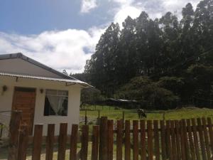 een huis met een hek en een paard in een veld bij Cabañas SHOLLET in Oxapampa