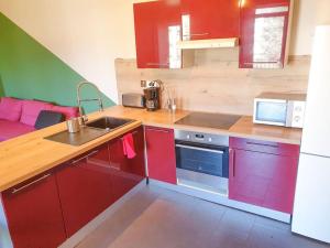 Cucina o angolo cottura di Spacieux Appartement au Calme 15min sud de Lyon proche Métro et Gare Confluence Aquarium Gerland
