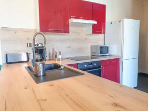 Cucina o angolo cottura di Spacieux Appartement au Calme 15min sud de Lyon proche Métro et Gare Confluence Aquarium Gerland