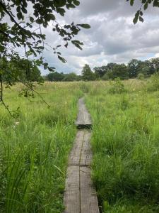 a wooden path in a field with tall grass at Unique Artists studio with a private garden. in Pewsey