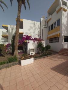 a white building with a palm tree next to a sidewalk at San Agustin,close to the Beach with pool ! in San Bartolomé de Tirajana