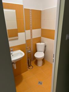 a bathroom with a toilet and a sink at Студио Top City Center in Plovdiv