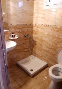 a bathroom with a shower with a toilet and a sink at Ενοικιαζόμενα Δωμάτια Γεωργία Σταμούλου in Rovies