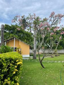 佩德拉斯港的住宿－Chalés do Porto，院子里有粉红色花的小树