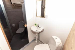 a bathroom with a toilet and a sink and a mirror at Lomakylä Timitraniemi in Lieksa +51 photos