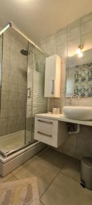 La salle de bains est pourvue d'une douche en verre et d'un lavabo. dans l'établissement Apartments Antica, à Basina