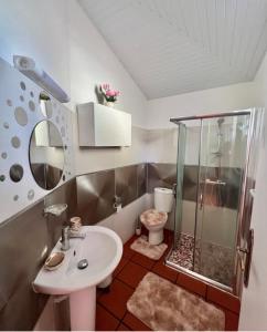 a bathroom with a shower and a sink and a toilet at Villa Paradis in Le François