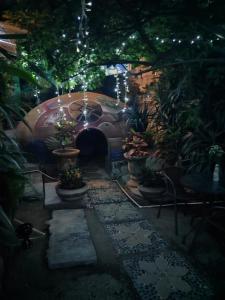 Zahrada ubytování Temazcal casa gema
