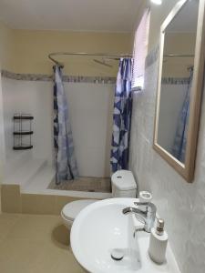 een badkamer met een wastafel, een toilet en een spiegel bij Arcadia House in Vieux Fort