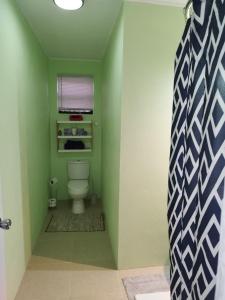La salle de bains est pourvue de toilettes dans un mur vert. dans l'établissement Arcadia House, à Vieux-Fort