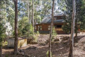 a log cabin in the woods with trees at Lumi Talo in Merrijig