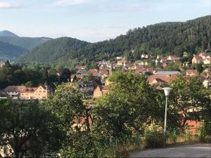 a town in the mountains with a street light at CHEZ JOSE in Rothau